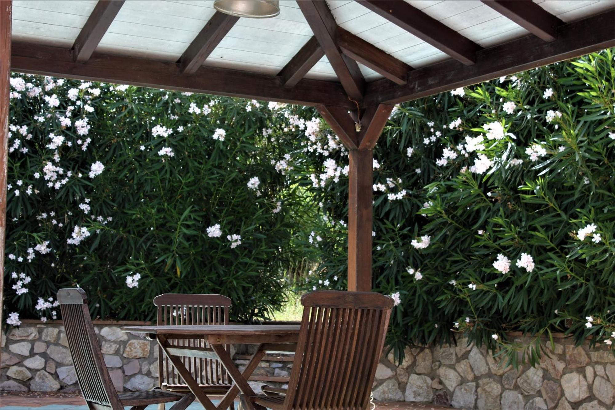 Residence Les Oliviers Porto Azzurro Exteriér fotografie